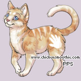 Pet