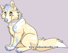 Pet