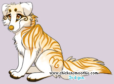 Pet