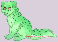 Pet