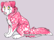 Pet