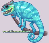Pet