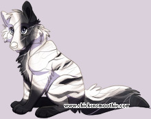Pet