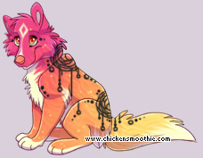 Pet