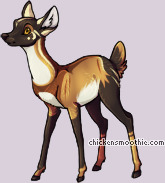 Pet