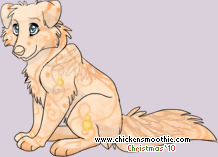 Pet