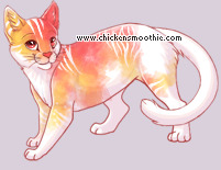 Pet