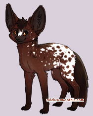 Pet