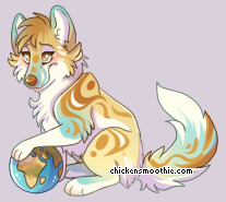Pet