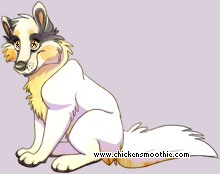 Pet