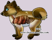 Pet
