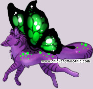 Pet