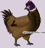 Pet