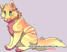 Pet