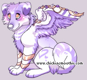 Pet