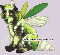 Pet