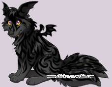 Pet