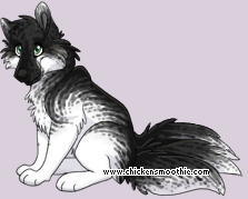 Pet