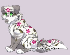 Pet