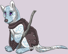 Pet