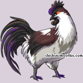 Pet