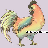 Pet