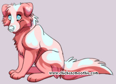 Pet