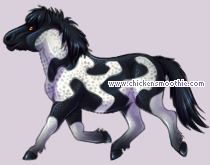 Pet