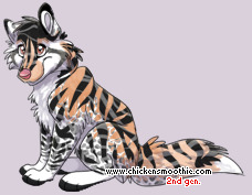Pet
