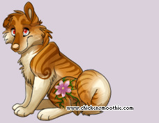 Pet