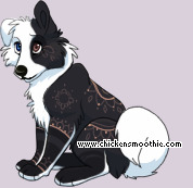 Pet