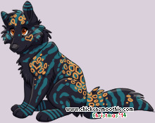 Pet