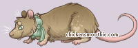Pet