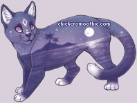Pet
