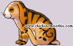 Pet