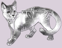 Pet