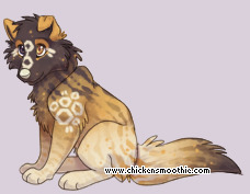 Pet