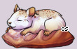 Pet