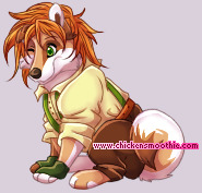 Pet