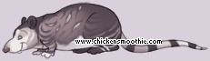 Pet