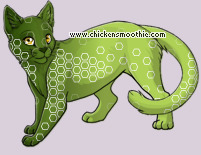 Pet