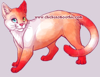 Pet