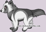 Pet
