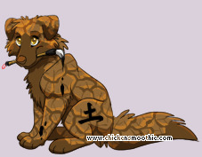 Pet