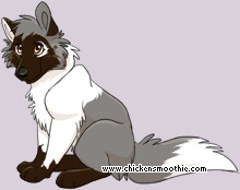 Pet
