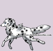 Pet