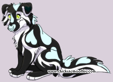 Pet