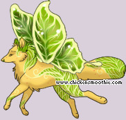 Pet