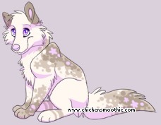 Pet