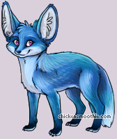 Pet